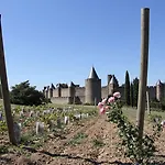 Pont Levis Boutique Hotel - 50M Cite Remparts Carcassonne מלון