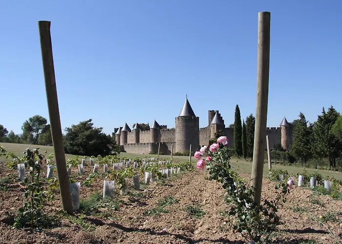 Pont Levis Boutique Hotel - Carcassonne Hotel